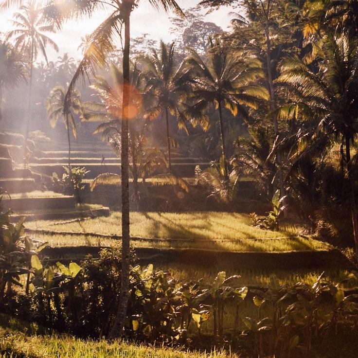 Outdoor terrace seating suitable for families in Toronto
